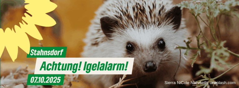 Igelschutz im Herbst – Was Du tun kannst!